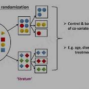 Randomization Bias Overview Trainee Tutorials