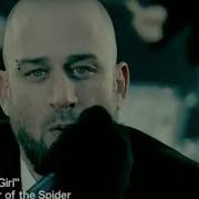 Cold Stupid Girl