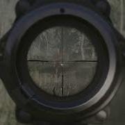 Crysis Remastered Bugs And Fun With Frogs