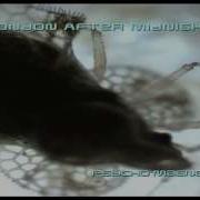 Shatter All My Dead Friends By London After Midnight With Lyrics