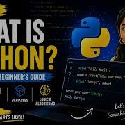 Python Basics Everything You Need To Start Coding Today