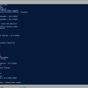 Malik S Shell Series Query Installed Software Via PowerShell