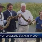 Gov Ron DeSantis Kicks Off 2021 Python Challenge In Everglades