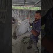 How Lime Is Made Complete Lime Manufacturing Process From Limestone To Quicklime Manufacturess