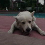 IPod Touch 4G 720P HD Video Quality Test