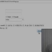 Struts 3 5 Validation N D