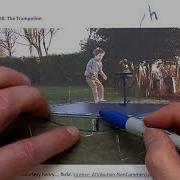 H8 Trampoline Physics