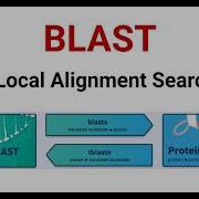 SRIAB День 9 Анализ BLAST Типы BLAST и интерпретация результатов