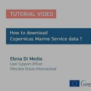 Tutorial How To Download Copernicus Marine Service Data