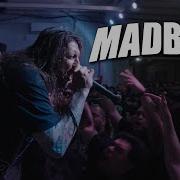 MADBALL 12 11 25 For The Children Preshow DBZ Backstage FULL SET