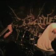 Devourment Baby Killer
