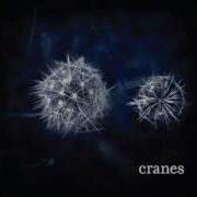 CRANES High And Low