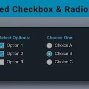 Animated Checkbox Radio Button CSS Tutorial Cool Hover Effects Step By Step Cssanimations