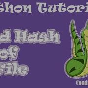 How To Create A Program To Find Hash Of File Using Python Language