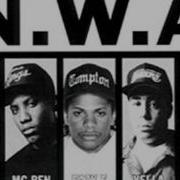 NWA Chin Check