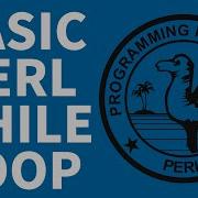 Perl While Loop Beginners Tutorial 2022