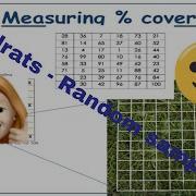 Biodiversity Of Two Lawns Random Sampling Using Quadrats