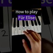 Für Elise Easy Piano Tutorial