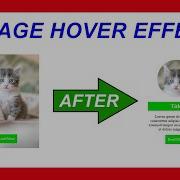 Only HTML CSS Clip Path Image Hover Effect FOT
