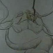 Animorph