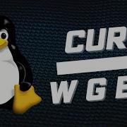 How To Use Wget And CURL Command In Linux