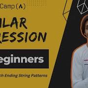 L17 Match Ending String Patterns Regular Expression Freecodecamp