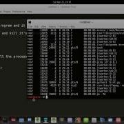 Error Already In Use Error In Python And See All The Proccess In Your Kali Linux