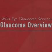 Glaucoma Overview Wills Eye Hospital