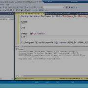 Sql DBA Batch 42 Class 56 Backups