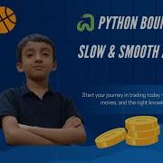Slow Bouncing Ball In Python Turtle Animation