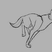 Wolf Run Cycle Practice
