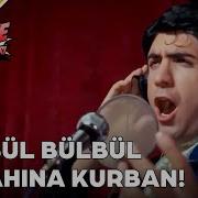 Bu Video Yüksek Ses İçerir Nerede Firuze