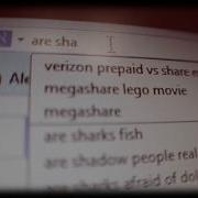 Sharks Aren T Fish