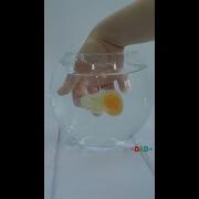 Let S Crack An Egg Underwater Simple Science Experiment With Eggs