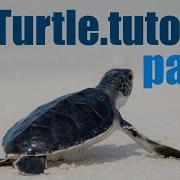 Python Turtle Tutorial Lesson 1 Basic Movement