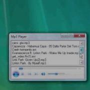 Mp3 Player Vb 2008