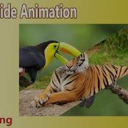Java Swing Image Slide Animation