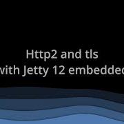 Jetty 12 Embedded Http2 And Tls