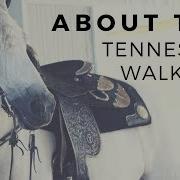 About The Tennessee Walker Gaited Horse Breeds DiscoverTheHorse