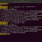 Advanced Topics The Small Buffer Optimization