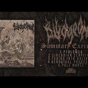 BLUDGEONED SUMMARY EXECUTION OFFICIAL EP STREAM 2021 SW EXCLUSIVE