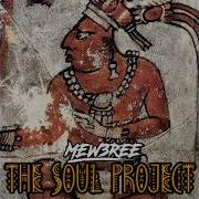 Mew3ree X Ari Mnemonic Perception Audio