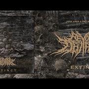 BEYOND DEVIATION EXTINCT SINGLE 2026 SW EXCLUSIVE