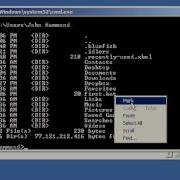 Batch 06 Scripts