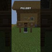 VIllager Torture Build Ideas