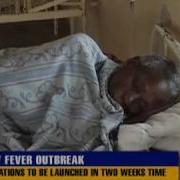 Yellow Fever Outbreak Confirmed
