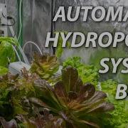 Build An Automated Hydroponic System