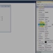 VB NET Lecture 21 Label Control