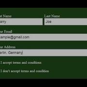 HTML Form With Input Type Checkbox HTML And CSS