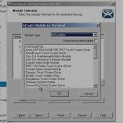 DNS Module ThinManager Tips Gems